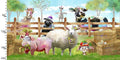 3 Wishes - Connie Haley - Welcome to the Funny Farm - Panel