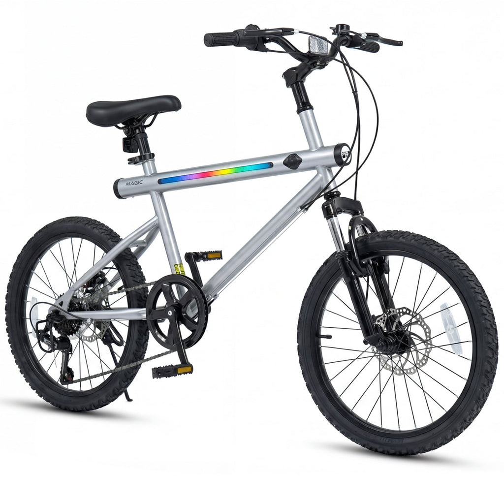 20 Inch LED Lit Commuter Bicycle with Disc Brakes and Stereo Speakers, Silver