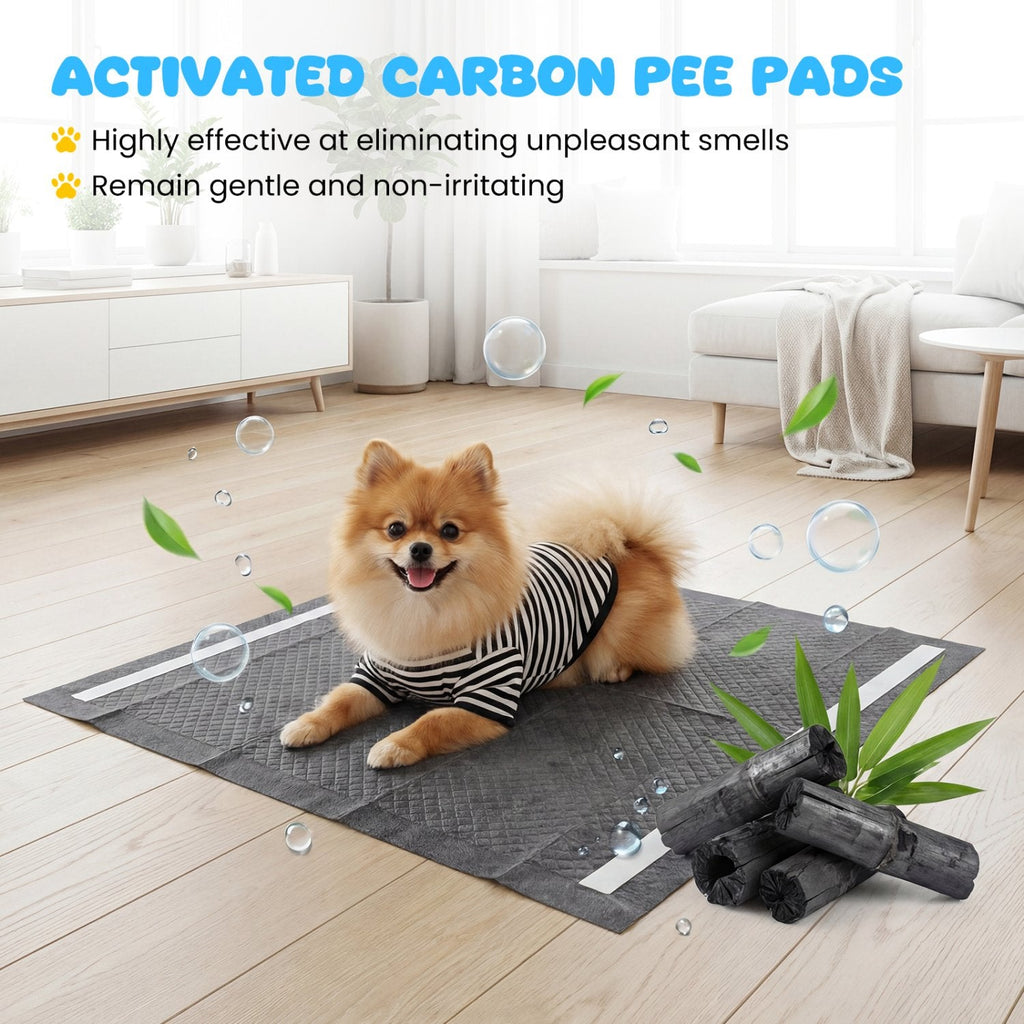 24 inches x 24 inches Charcoal Dog Pee Pads 6-Layer for Dogs-Black