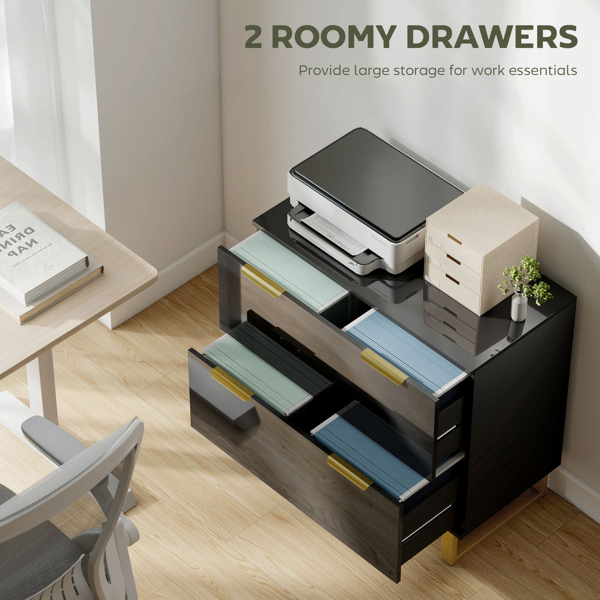 Lateral File Cabinet with 2 Drawers, Modern Filing Cabinet for Letter/A4/Legal Size Files, High Gloss Black