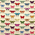 My Flutter By by Stof - Butterflies Displayed  4501-424