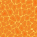 Pannotia Stepping Stones by Oasis Fabrics - Orange