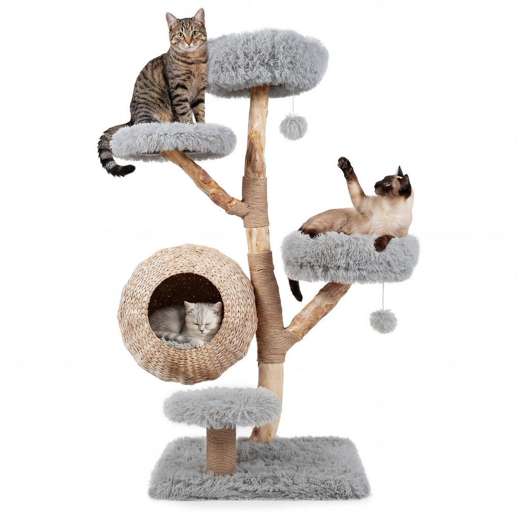 53 Inch Solid Pear Wood Cat Tree with Hand Woven Cattail Condo and Jute Posts, Gray