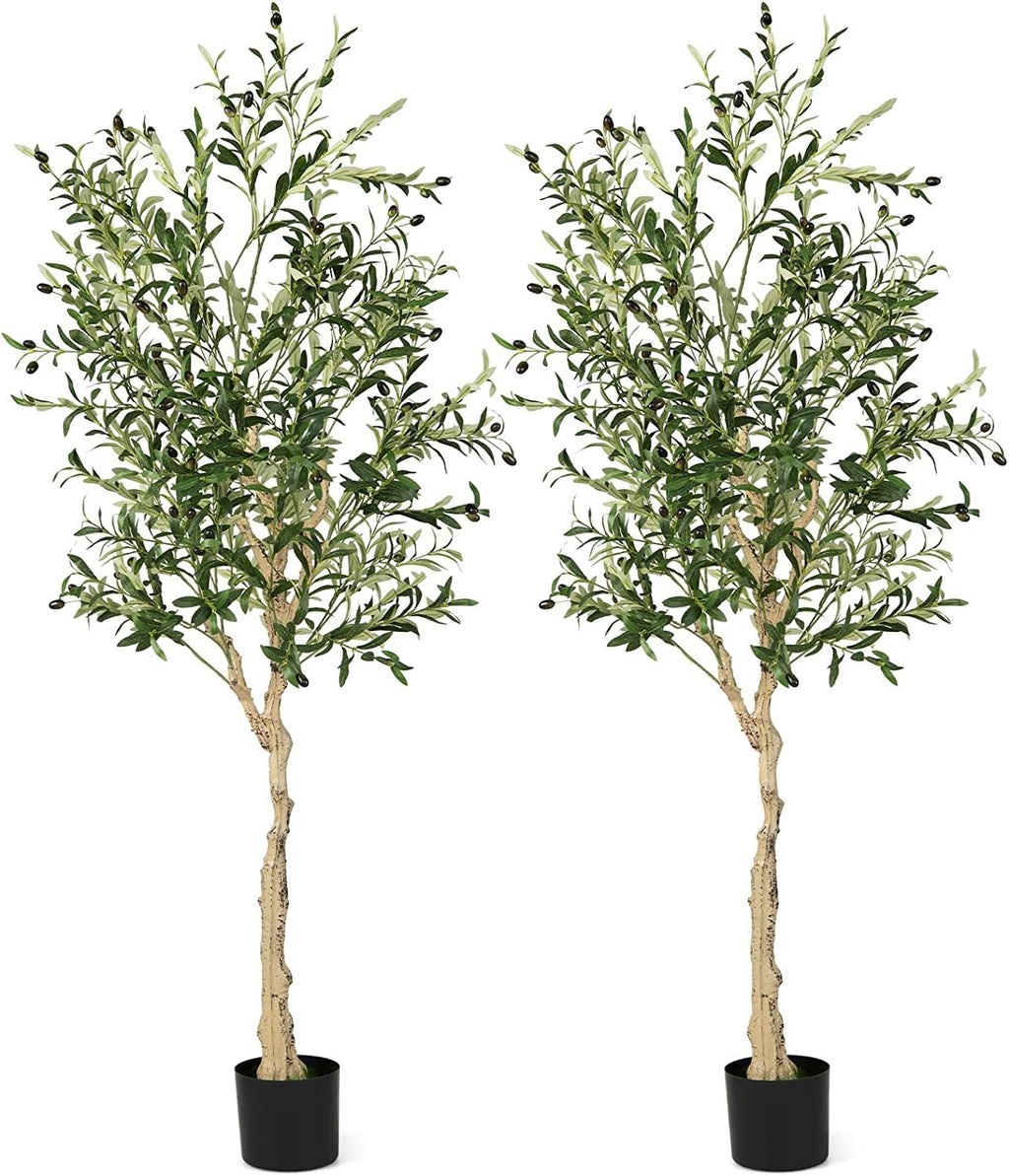 6 Foot Artificial Olive Trees, 2 Pack with 72 Olives and Cement Filled Pots