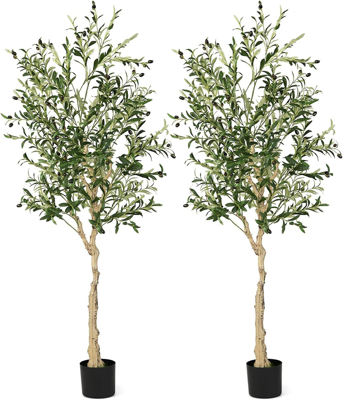 6 Foot Artificial Olive Trees, 2 Pack with 72 Olives and Cement Filled Pots
