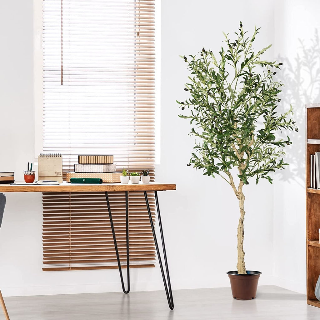 6 Foot Artificial Olive Trees, 2 Pack with 72 Olives and Cement Filled Pots