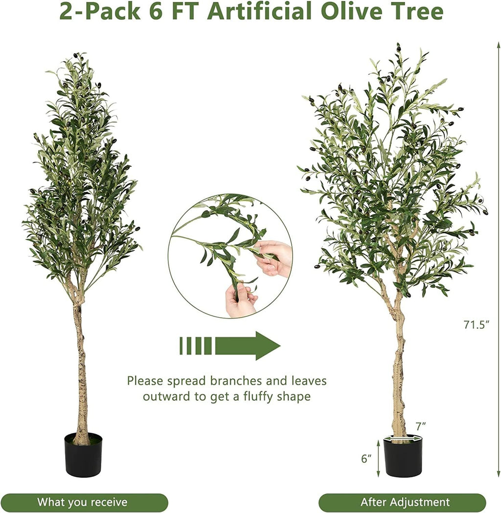 6 Foot Artificial Olive Trees, 2 Pack with 72 Olives and Cement Filled Pots