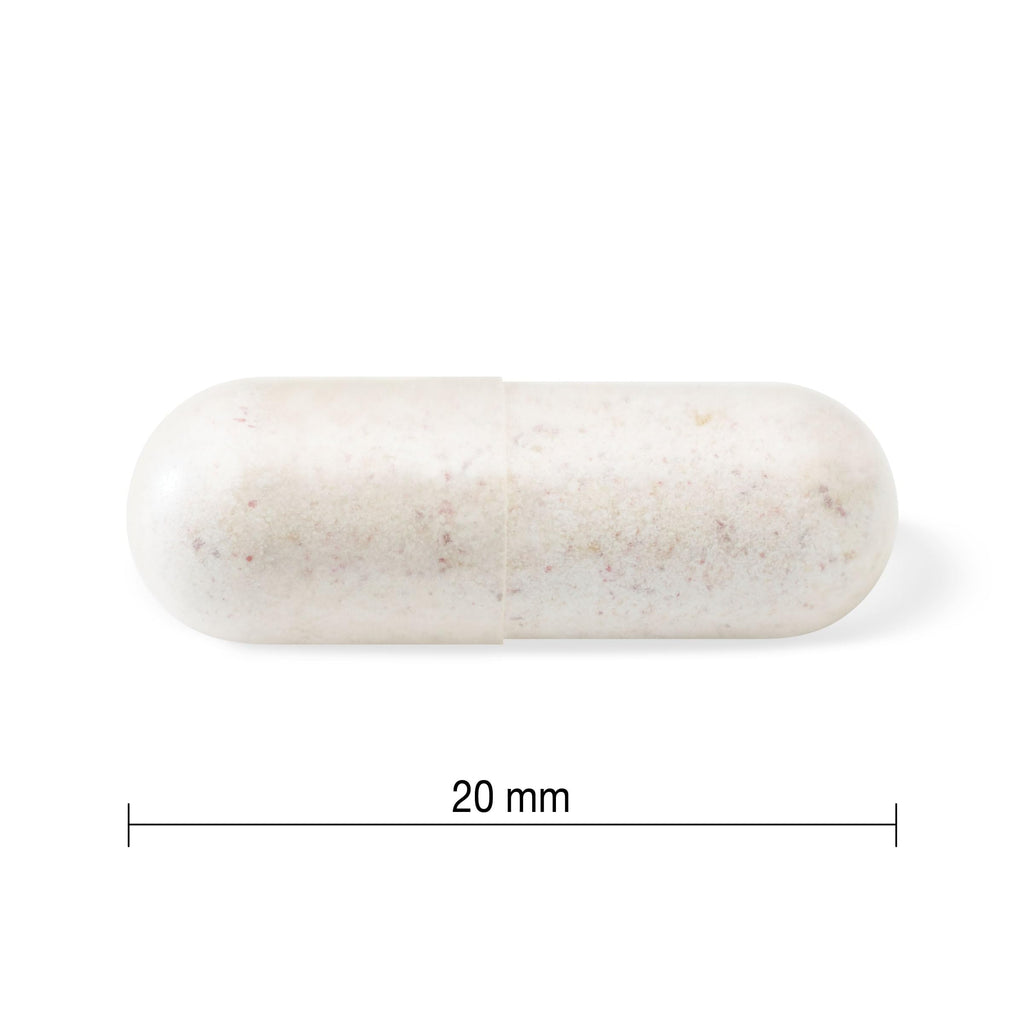 Jamieson Probiotic 10 Billion CFU, 60 Veggie Capsules, Daily Maintenance, Intestinal & Digestive Health. 14 Unique Strains to Improve Microbial Diversity, Bifidobacterium and Lactobacillus, Non-GMO 🍁 All In One Marketplace Canada