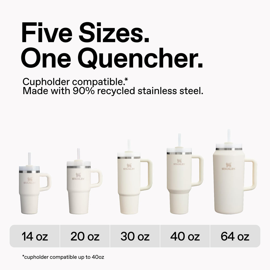 STANLEY Quencher H2.0 Tumbler with Handle and Straw 30 oz | Flowstate 3-Position Lid | Cup Holder Compatible for Travel | Insulated Stainless Steel Cup | BPA-Free | Purple Dust 🍁 All In One Marketplace Canada