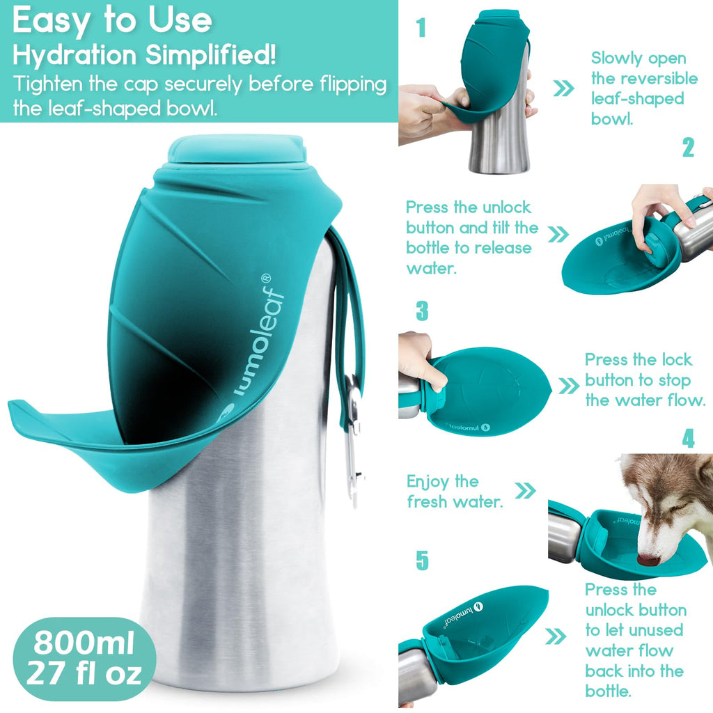 LumoLeaf Portable Dog Water Bottle 800 ml, Stainless Steel Pet Travel Water Bottle Dispenser for Walking, Hiking and Outdoor, Portable Water Bowl for Large Dogs (Blue) 🍁 All In One Marketplace Canada