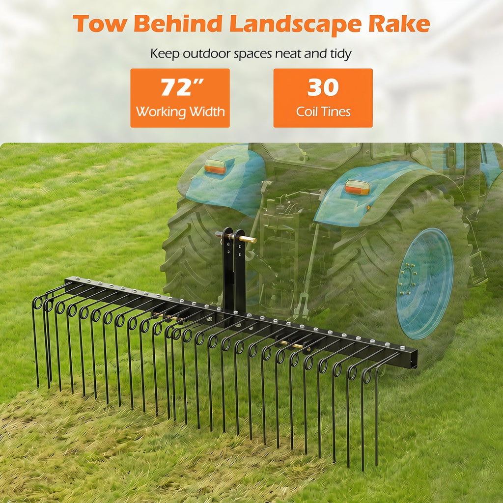 72 inches Pine Straw Rake with 30 Metal Coil Tines for Grass-Black