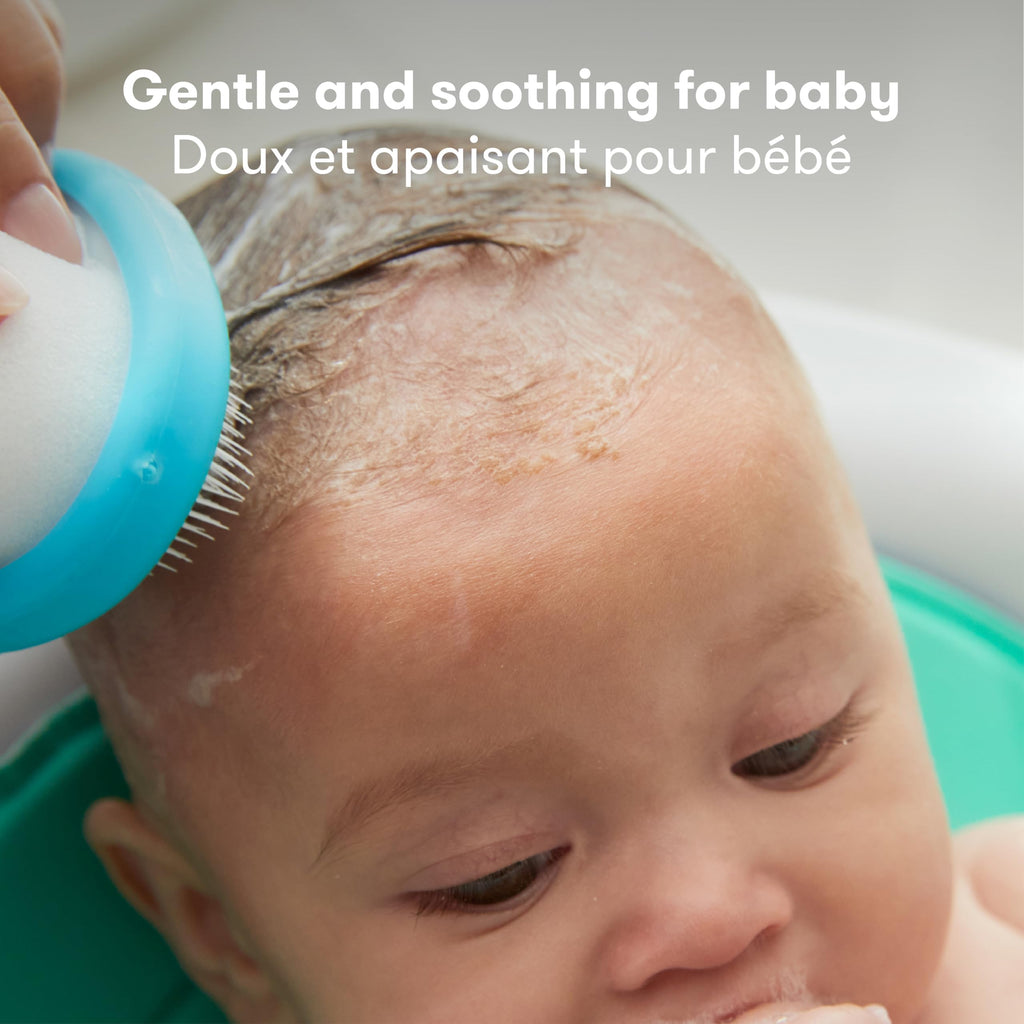 Frida Baby The 3-Step Cradle Cap System Kit & Cradle Cap Treatment, DermaFrida The FlakeFixer, Sponge, Brush, Comb and Storage Stand for Babies with Cradle Cap, White-Blue 🍁 All In One Marketplace Canada