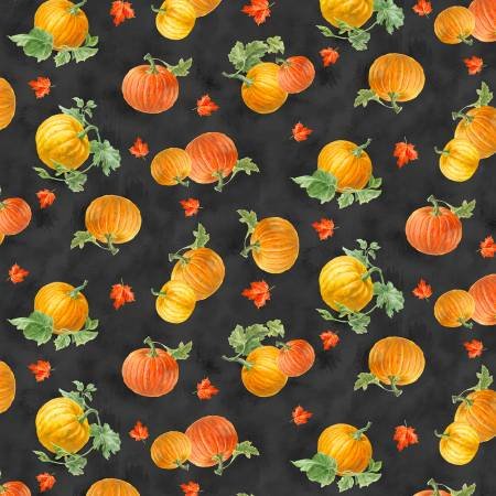 Harvest Gold - Black Pumpkin Toss