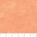 Deborah Edwards Canvas - 9030-54 Melon