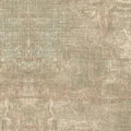 Chalk and Charcoal - Screen Mushroom - 108in Quilt Back