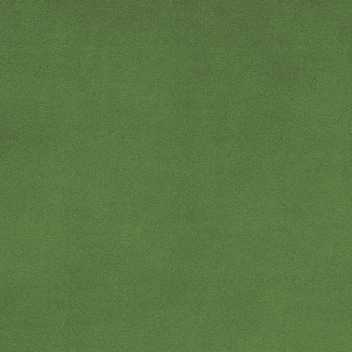 Shannon Fabrics - Cuddle - Basil Solid Cuddle 90in Wide