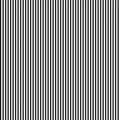 Riley Blake - Check Please - 1/8in Striped Black