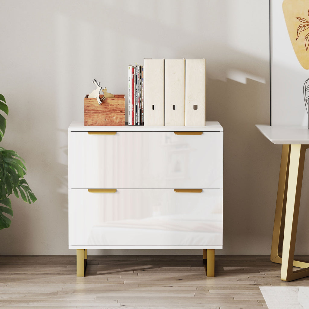 Lateral File Cabinet with 2 Drawers, Modern Filing Cabinet for Letter/A4/Legal Size Files, High Gloss Black