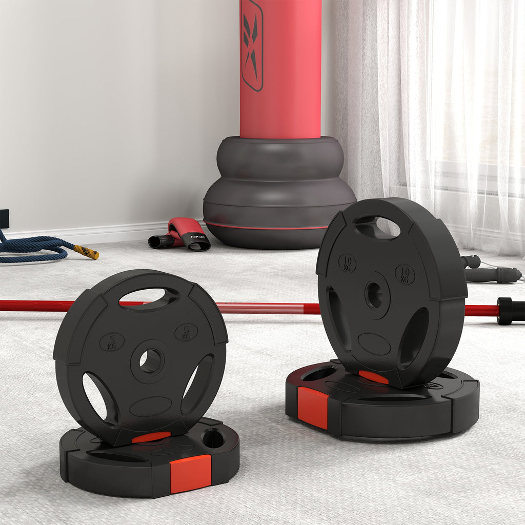 1-Inch Weight Plates, Barbell Weights Set for Weightlifting and Strength Training, 2 x 11lbs + 2 x 5.5lbs
