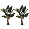 Artificial Rainbow Taro Tree 63 inches Tall with 11 Faux Leaves-2 Pack