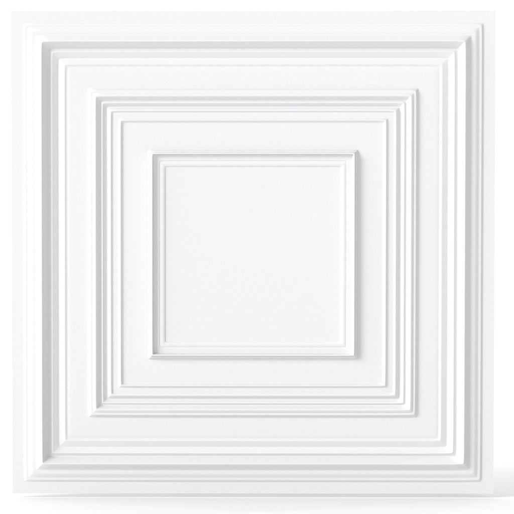 Drop Ceiling Tiles 24 inches x 24 inches PVC Ceiling Panels with 3D Decorative Patterns 12-Pack-White