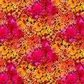 Paula Nadelstern - Where In The World - Belize Pink Multi