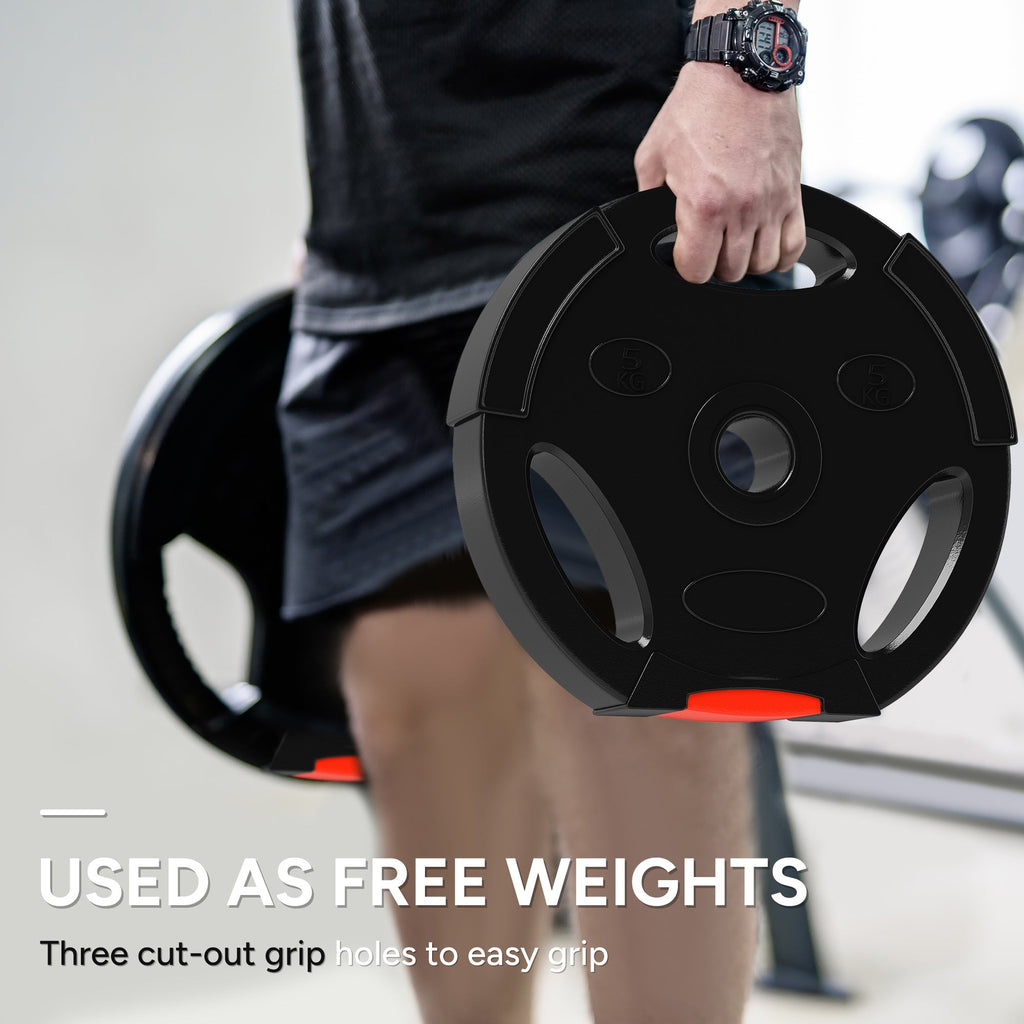 1-Inch Weight Plates, Barbell Weights Set for Weightlifting and Strength Training, 2 x 11lbs + 2 x 5.5lbs