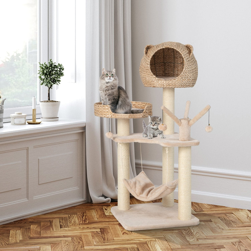 Natural Cattail Cat Tree 48 Inches with Five Layers and a Woven Condo