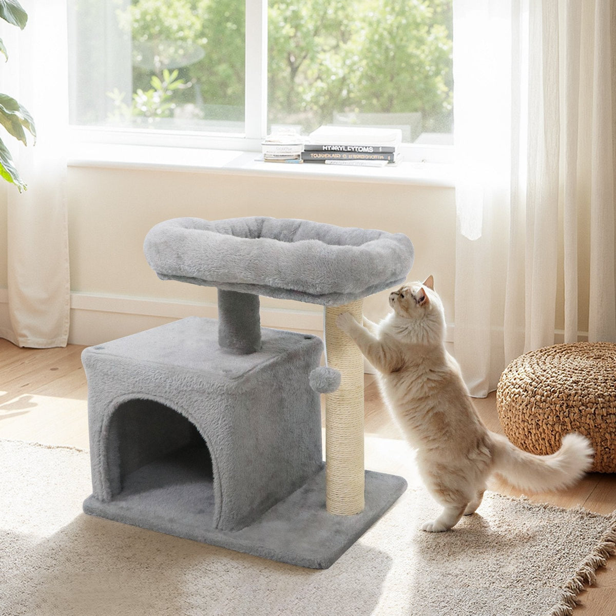 Light Grey Cat Tree 19.5 Inches for Kittens and Older Cats