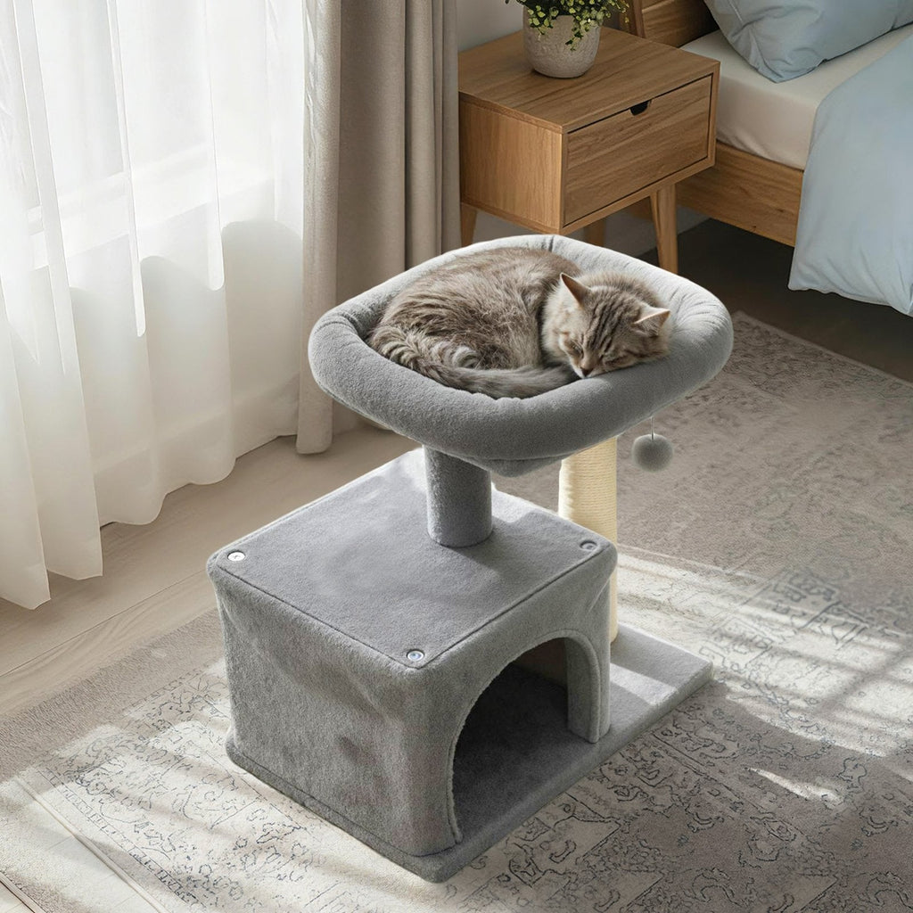 Light Grey Cat Tree 19.5 Inches for Kittens and Older Cats