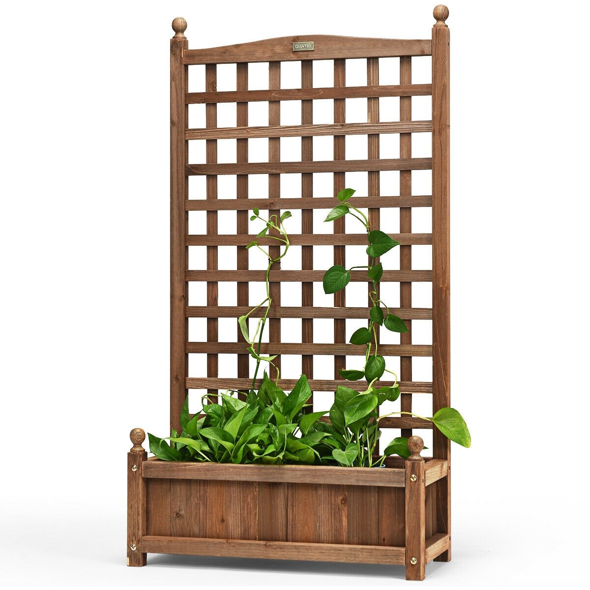Free Standing Wood Planter Box with Trellis, 48 Inch Fir Raised Bed for Climbing Plants