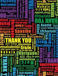 Timeless Treasures - Thanks Multilingual