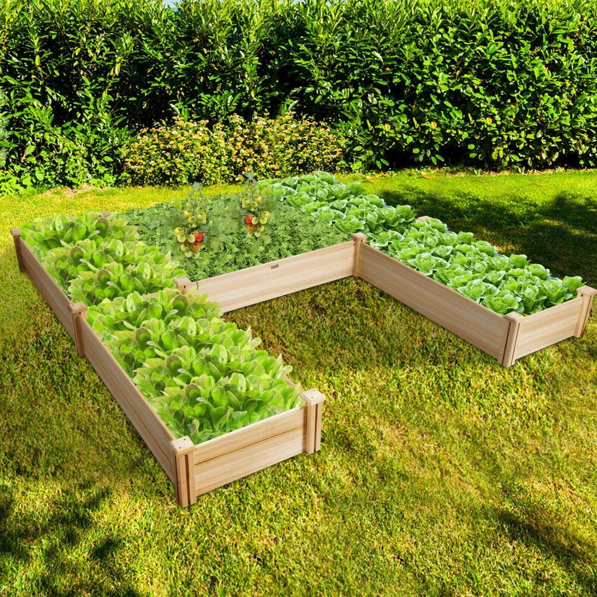 U-Shaped Wooden Garden Raised Bed for Backyard and Patio-Natural