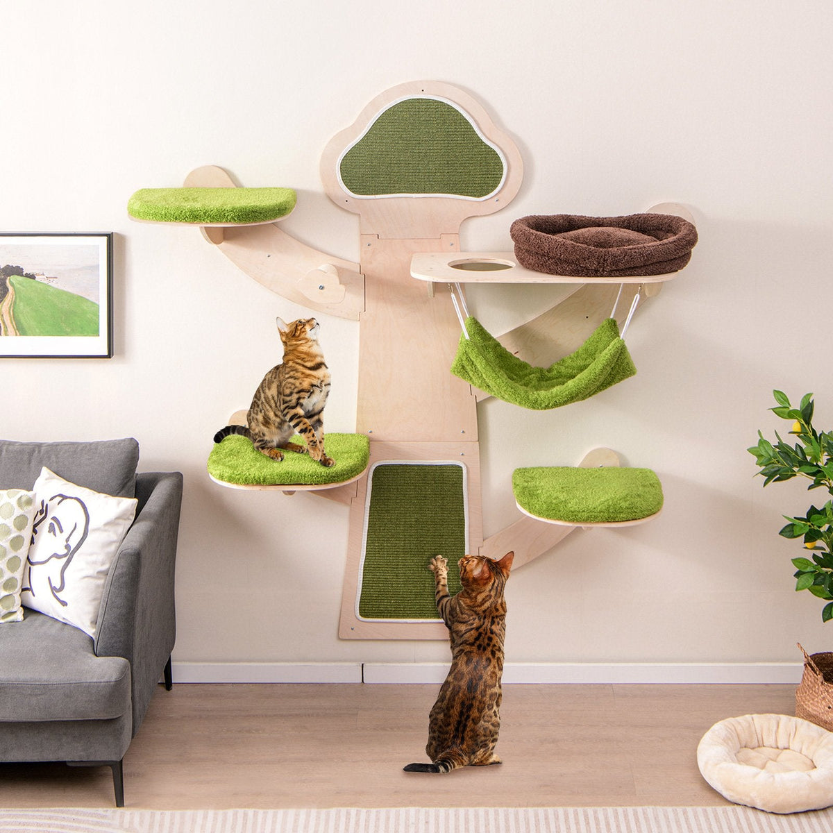 Green Wall Mounted Cat Shelf Set with Hammock, Bed and Five Levels